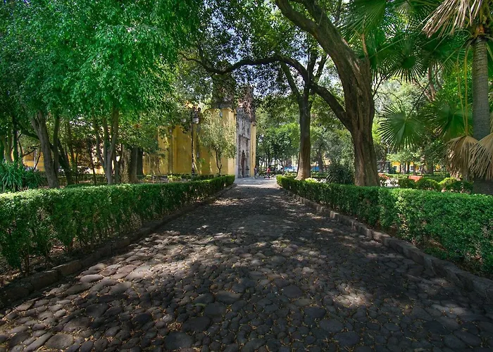 Apartamento Fl 59 Coyoacan At Your Doorstep!