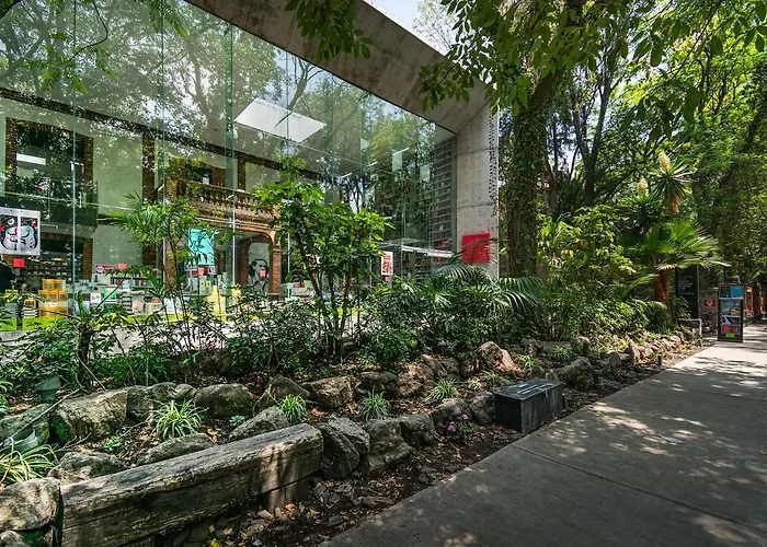 Fl 59 Coyoacan At Your Doorstep! *