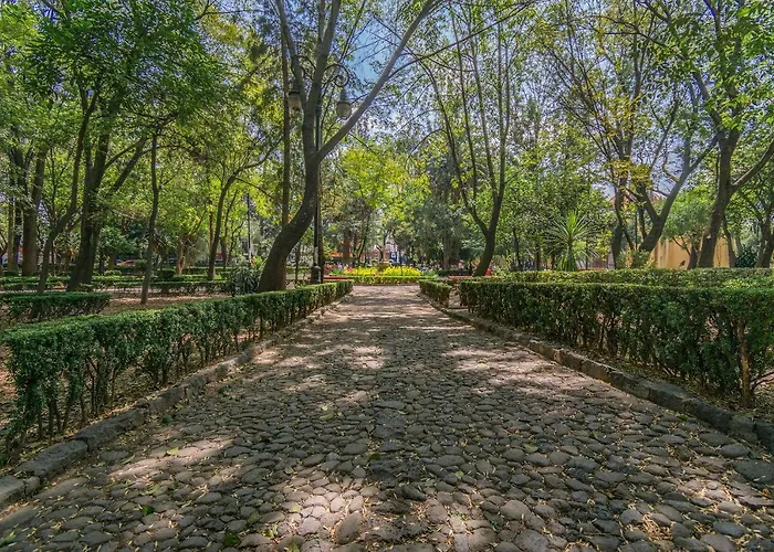Fl 59 Coyoacan At Your Doorstep!